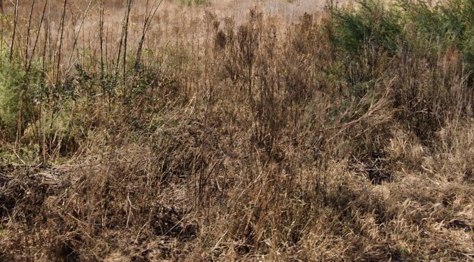 Commercial Property for Sale in Deneysville Free State